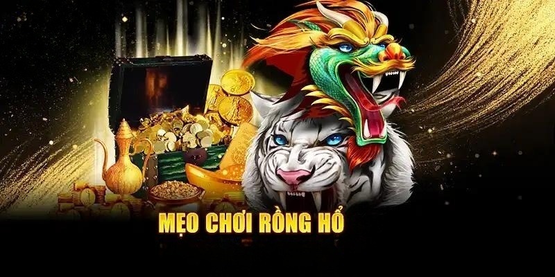 Mẹo chơi rồng hồ giúp hạn chế được rủi ro